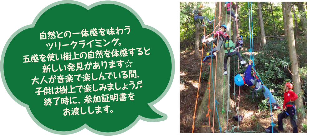 ツリークライミング